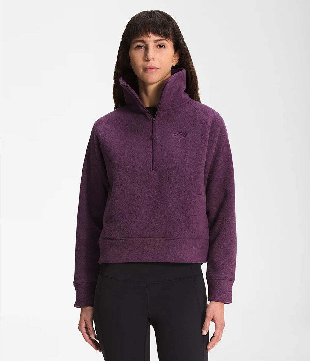 The North Face City Standard Micro-Fleece ¼ Zip Softshelljacke Damen - Lila CH-519LCQD